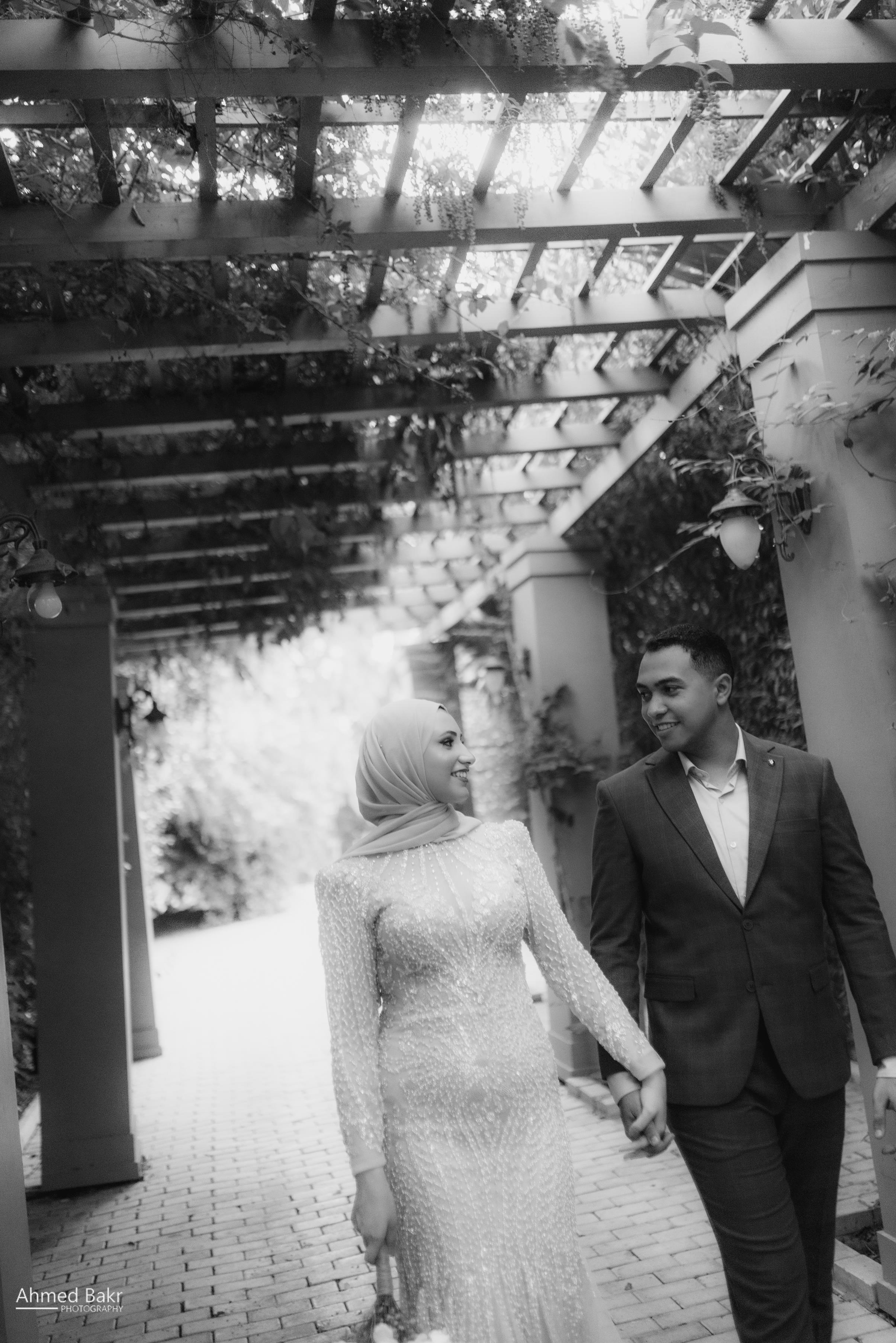 Wedding photo 5